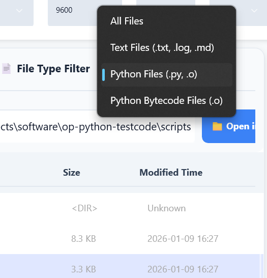 文件类型过滤器